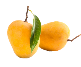 Mangoes Benifits